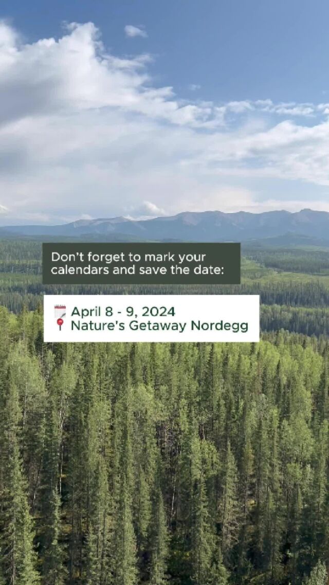 1 week left until Mindfulness, Activity, and Creativity in Nature mountain getaway! 🌿

Don’t forget to mark your calendars and save the date: 
🗓️ April 8 - 9, 2024
📍 Nature's Getaway Nordegg

Haven’t registered yet? It’s not too late!

But spots are filling up fast! So click the link in bio to secure yours. 🔗

💌 DM me with any questions and more info

#Mindfulness #NatureRetreat #MountainGetaway #Reconnect #SelfDiscovery #BreathtakingViews #OutdoorAdventure #WellnessRetreat #NatureLovers #LastChance #RegisterNow #NatureInspired #WellnessJourney